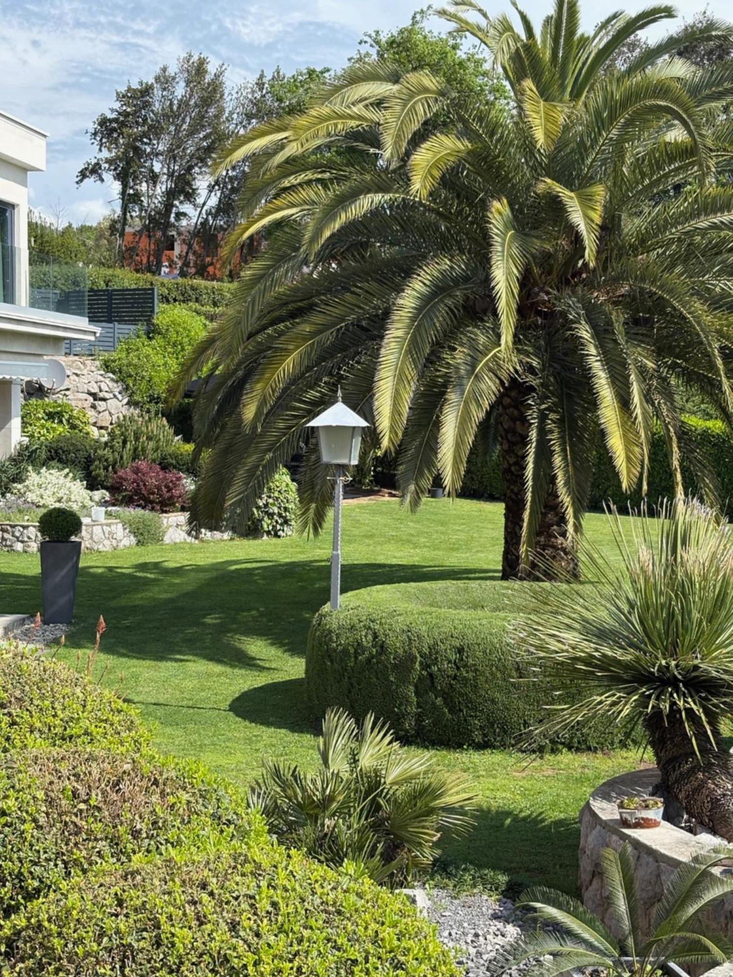 Bed And Breakfast Villa Iris Mošćenička Draga Eksteriør billede