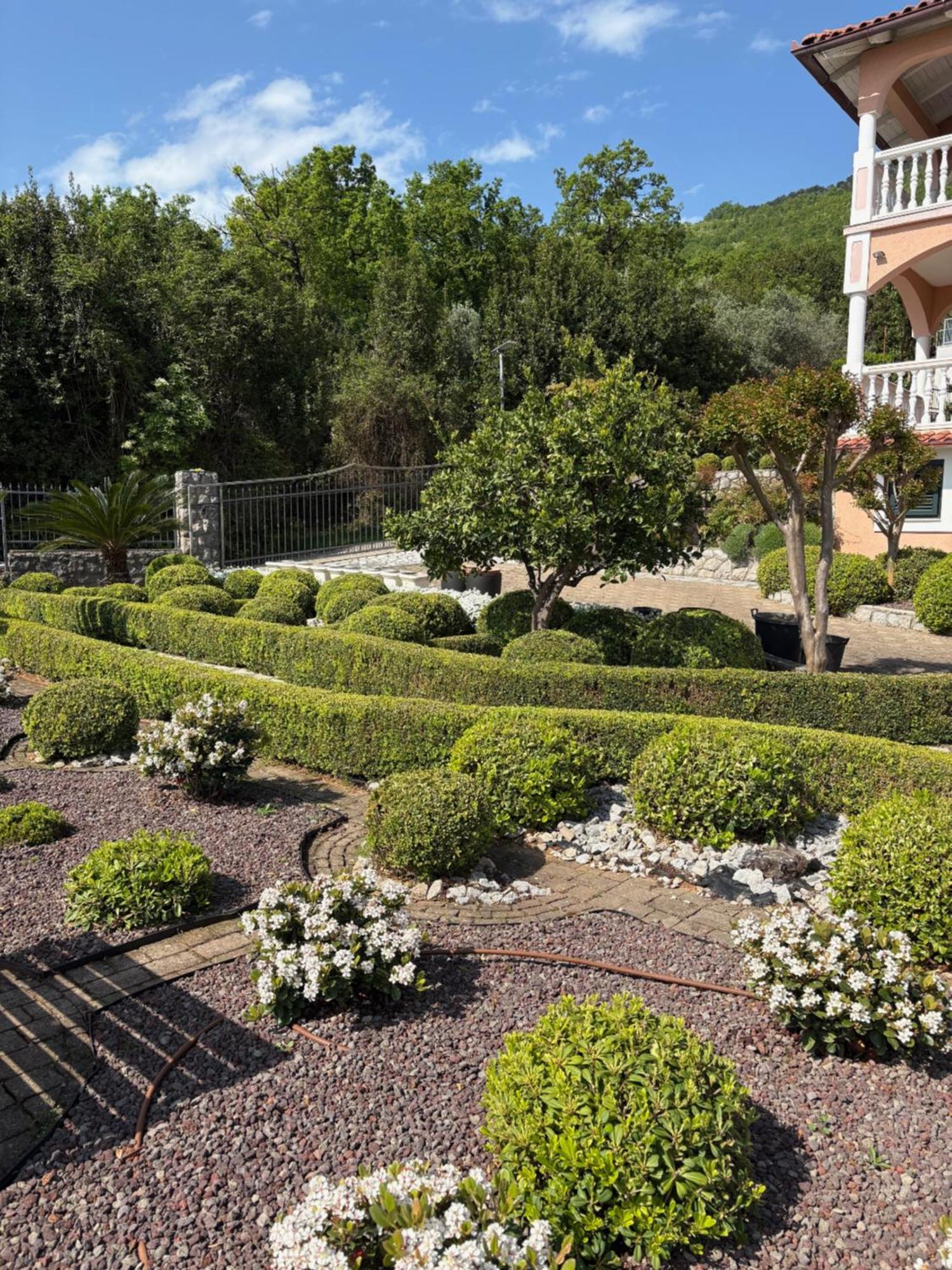 Bed And Breakfast Villa Iris Mošćenička Draga Eksteriør billede