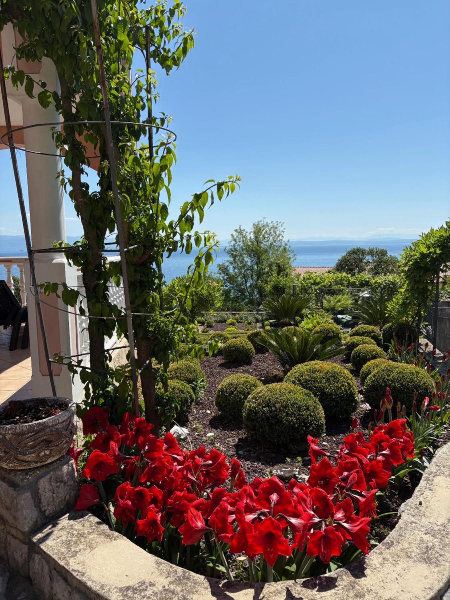 Bed And Breakfast Villa Iris Mošćenička Draga Eksteriør billede
